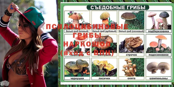 гидра Киреевск
