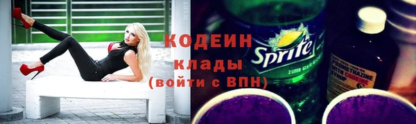 мдпв Карпинск