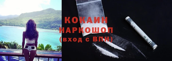 гидра Киреевск