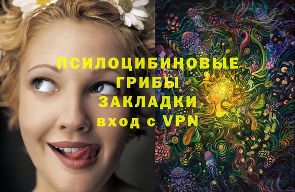 мдпв Карпинск