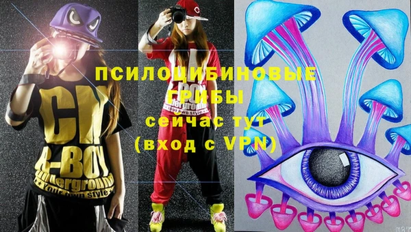 спиды Карталы
