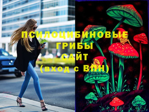 гидра Киреевск