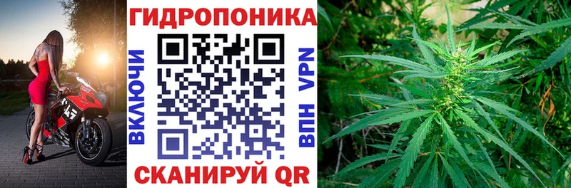 Шишки марихуана THC 21%  Купить  Нальчик